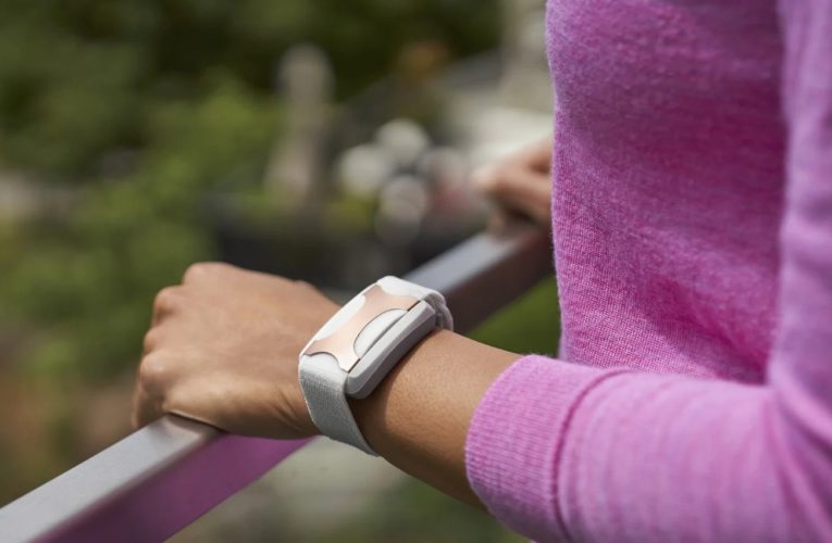 Cape Coral: Can a Wearable Device Reduce Stress?